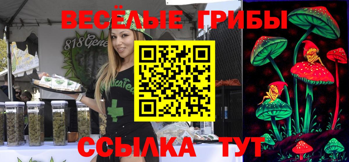 Обнинск  Галлюциногенные грибы Psilocybine cubensis  Вход с VPN  Псилоцибиновые грибы Psilocybe 